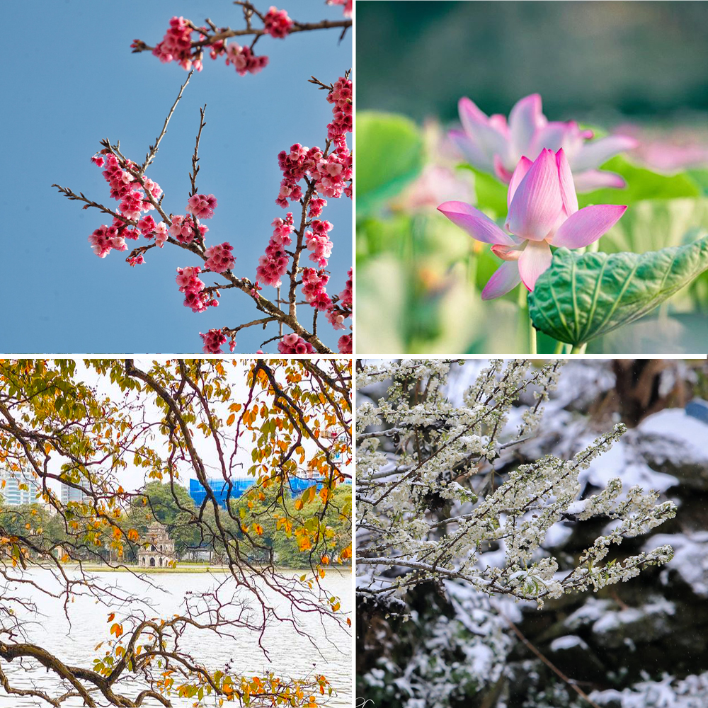 du lịch mùa đông du lịch mùa đông