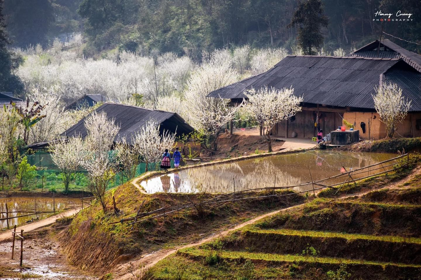 Tour du lịch liên tuyến Tây Bắc 01