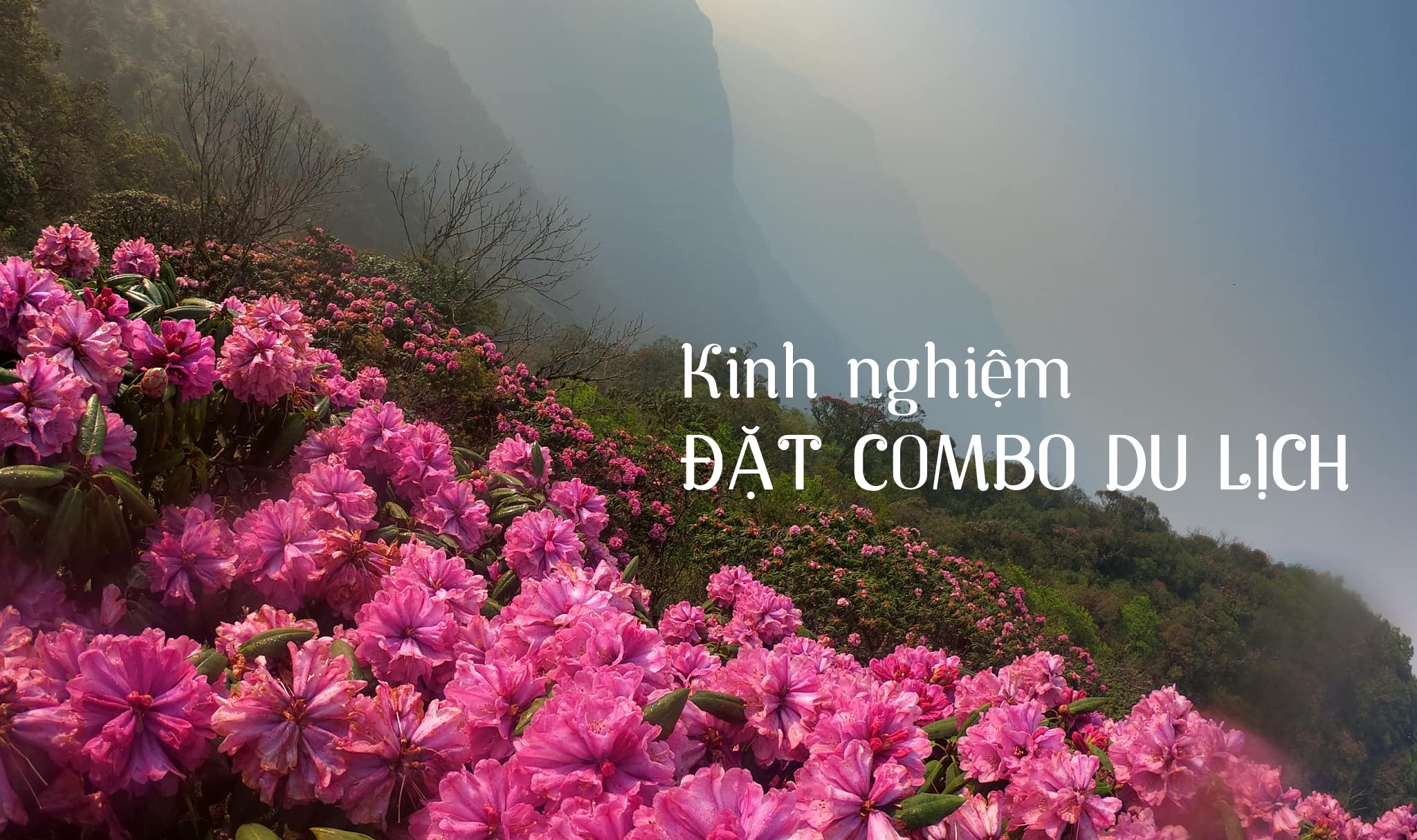 kinh-nghiem-mua-combo-du-lich-phu-hop