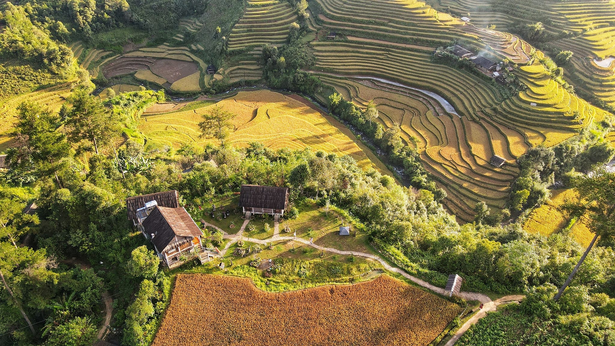 Lapantan Paradise Mù Cang Chải 01 Lapantan Paradise Mù Cang Chải 01