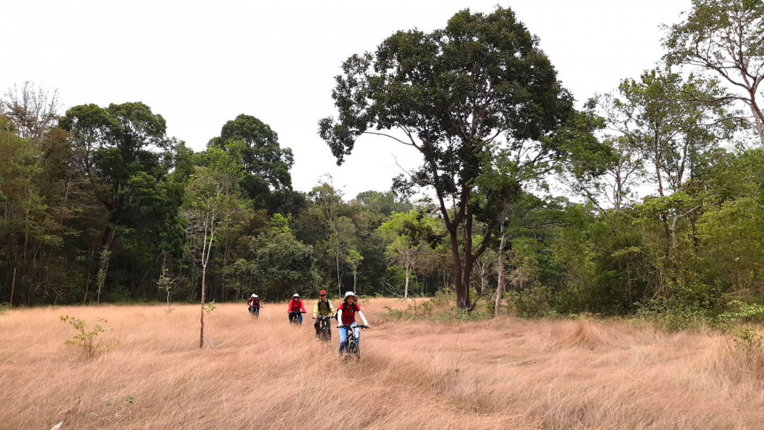 Kinh nghiệm du lịch Tây Ninh 11