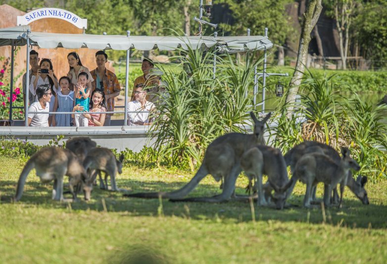 River Safari Vinpearl Nam Hội An River Safari Vinpearl Nam Hội An