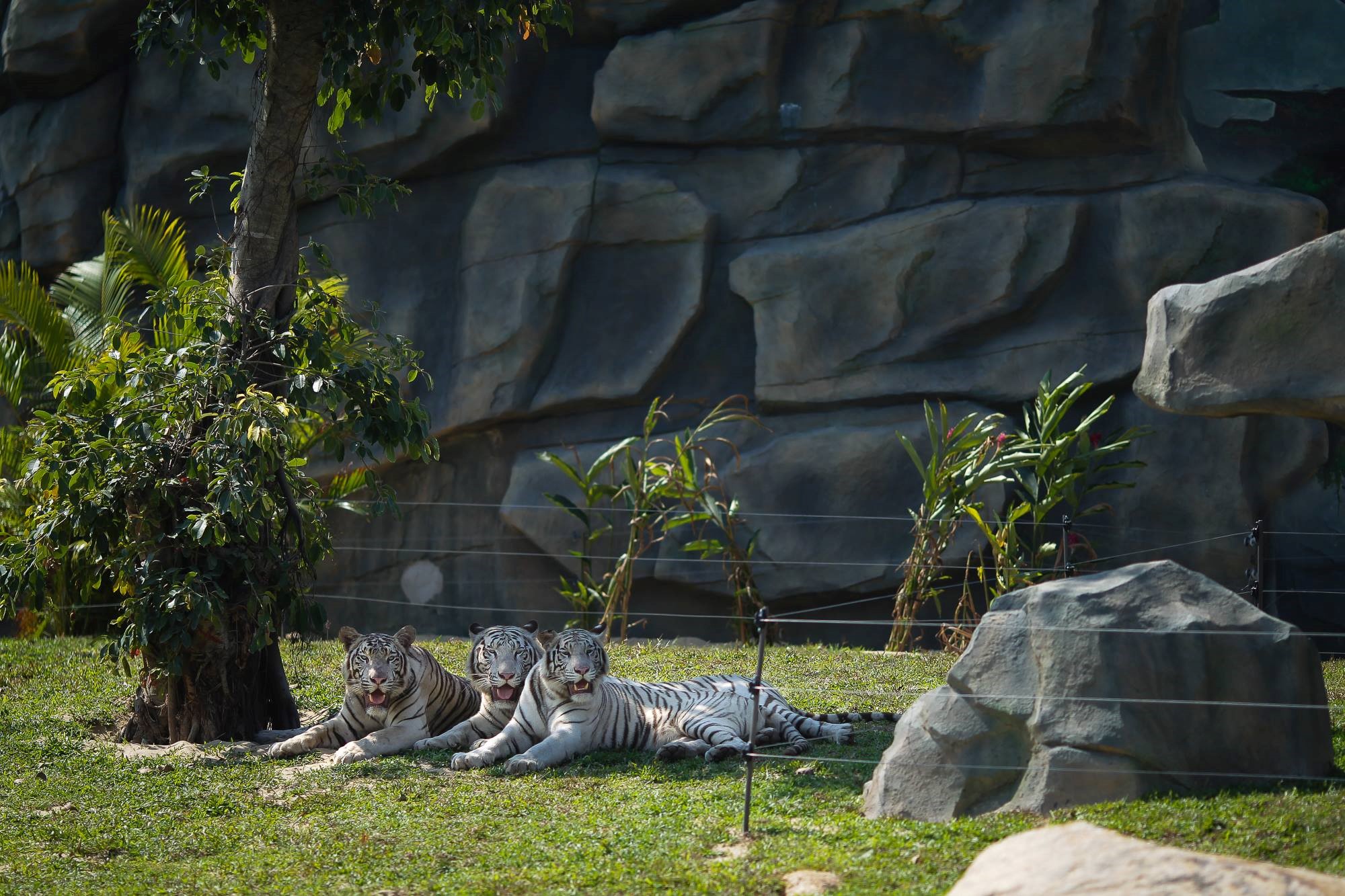River Safari Nam Hội An 05 River Safari Nam Hội An 05