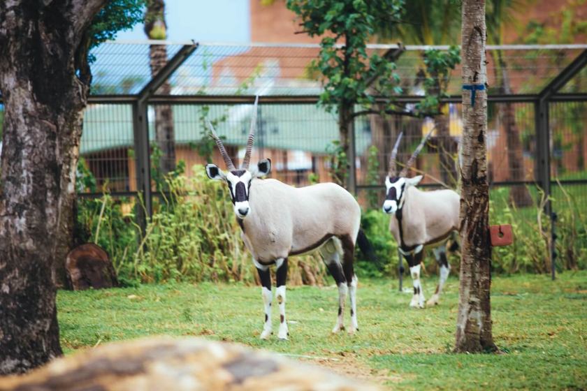 Vinwonders Nam Hội An Vinwonders Nam Hội An
