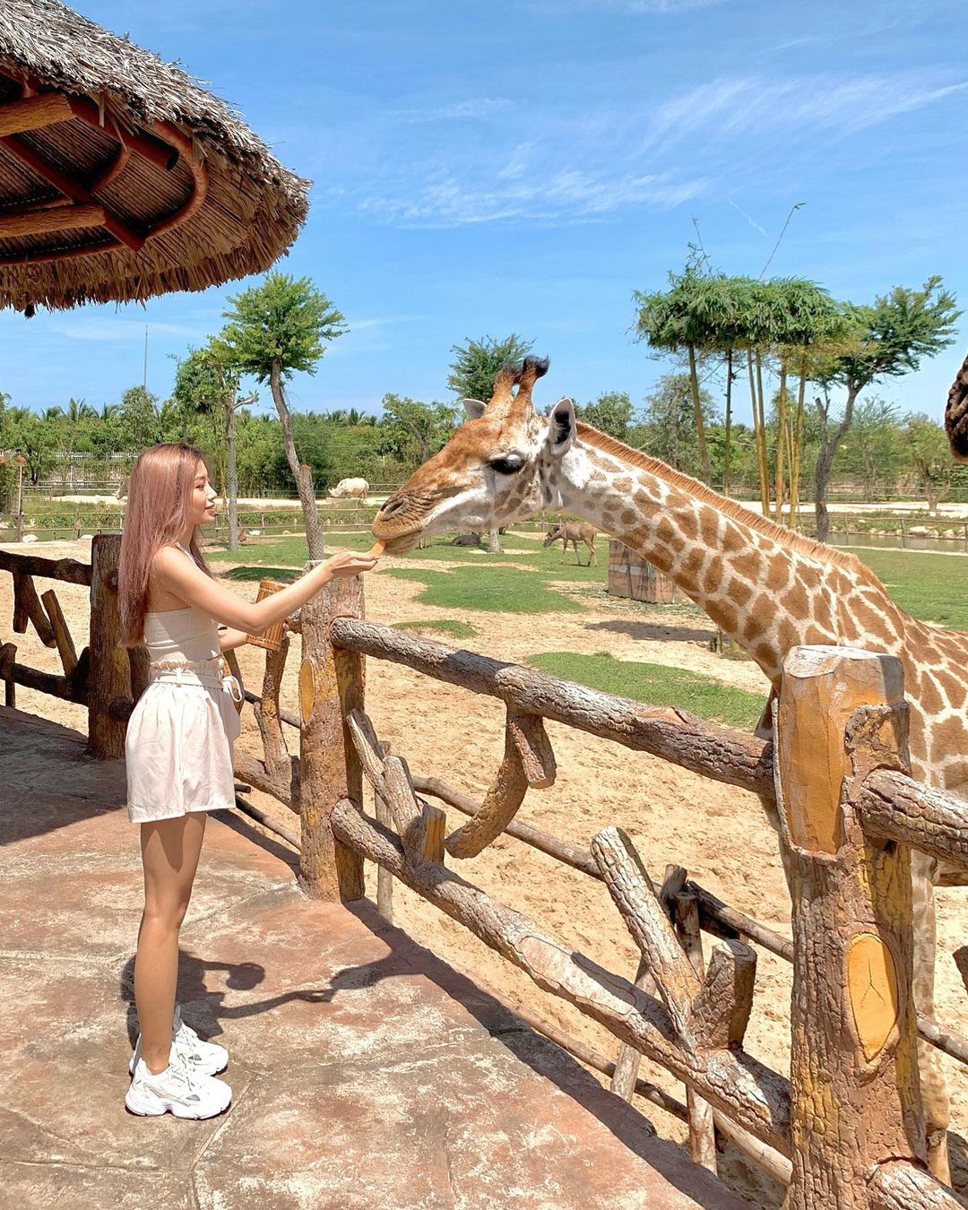 River Safari Nam Hội An 09 River Safari Nam Hội An 09