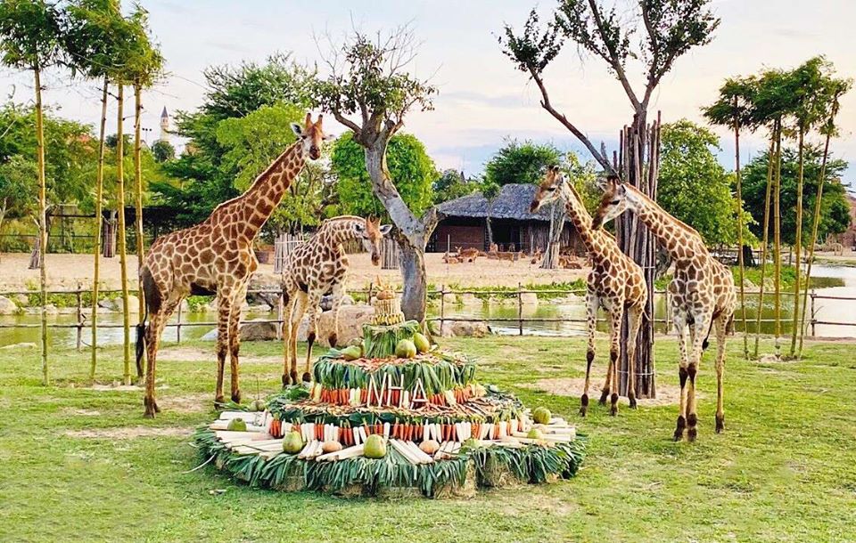 Vinpearl Safari Nam Hội An Vinpearl Safari Nam Hội An