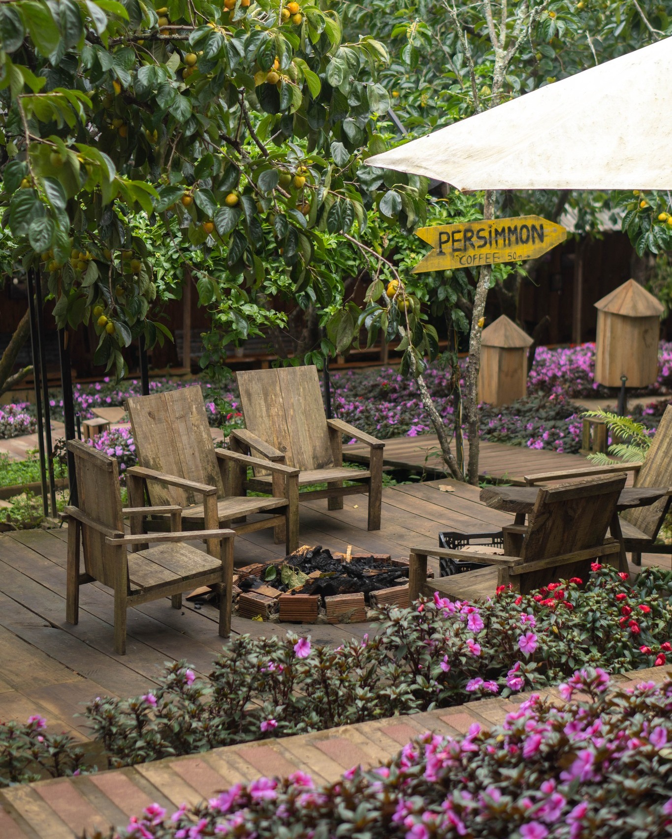 Vườn hồng Đà Lạt - Persimmon Café 01