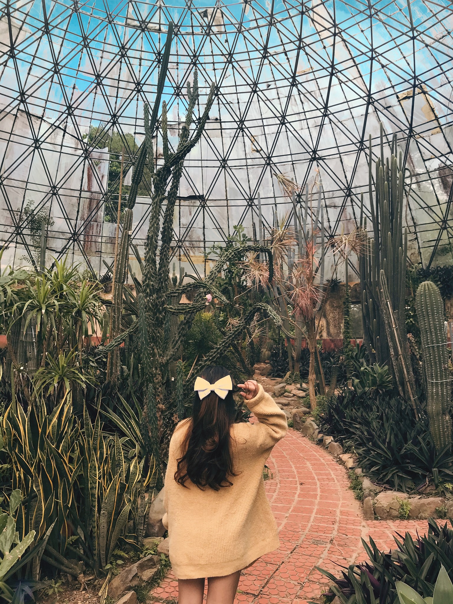 kinh nghiệm đi Ba Vì mùa hoa dã quỳ 9 kinh nghiệm đi Ba Vì mùa hoa dã quỳ 9