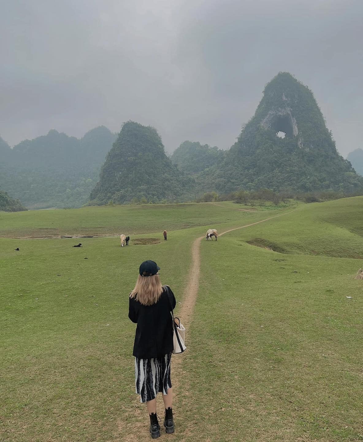 Địa điểm du lịch Cao Bằng nổi tiếng Địa điểm du lịch Cao Bằng nổi tiếng