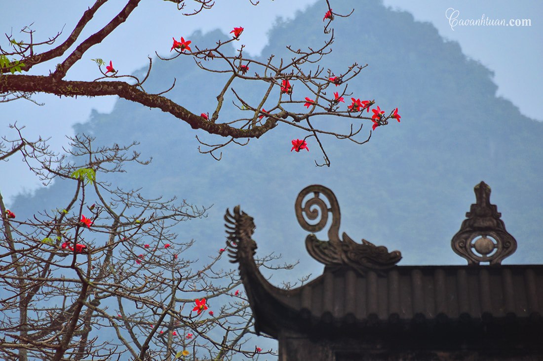 Lễ chùa Hương đầu năm