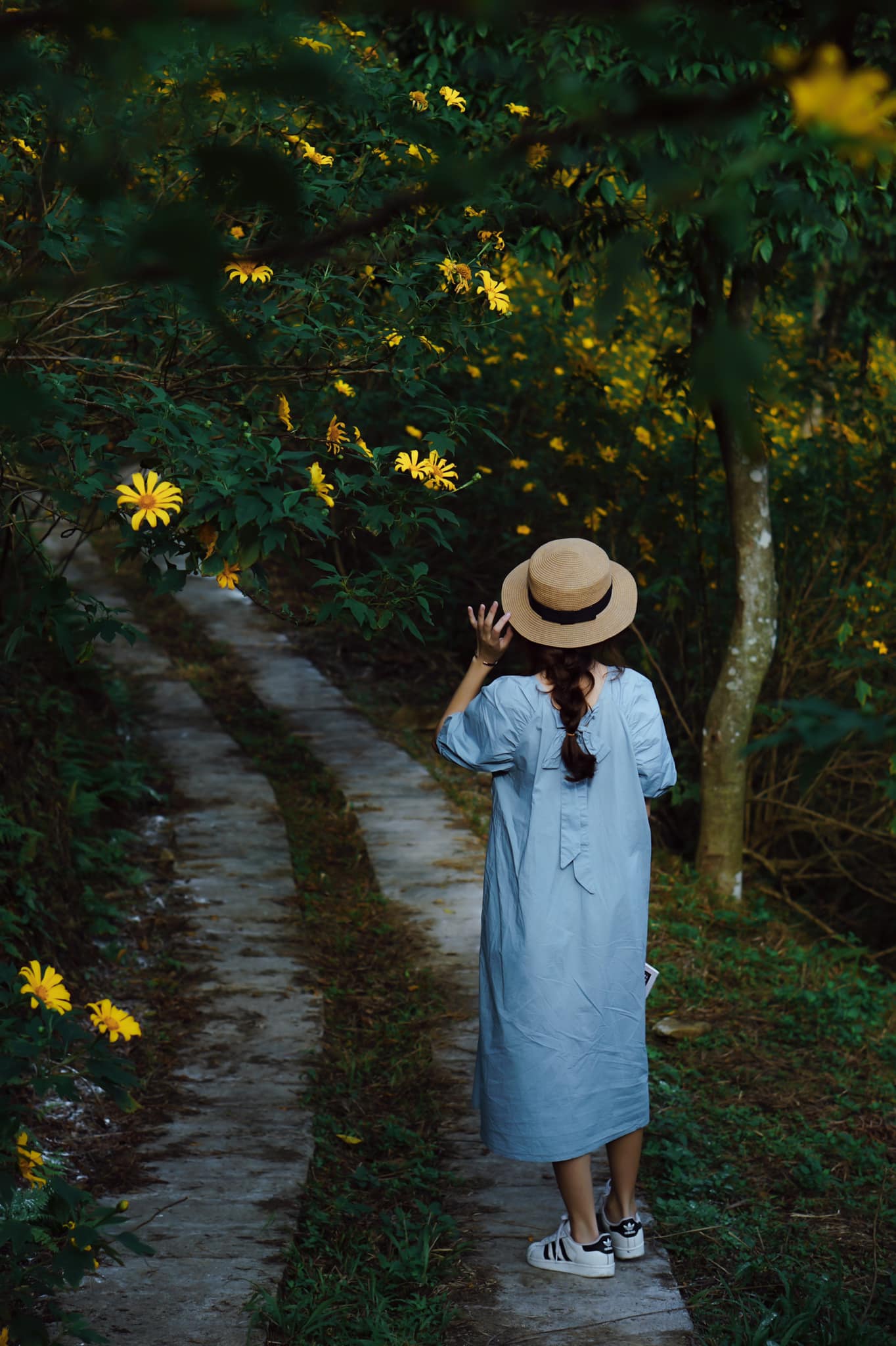 kinh nghiệm đi Ba Vì mùa hoa dã quỳ 3 kinh nghiệm đi Ba Vì mùa hoa dã quỳ 3