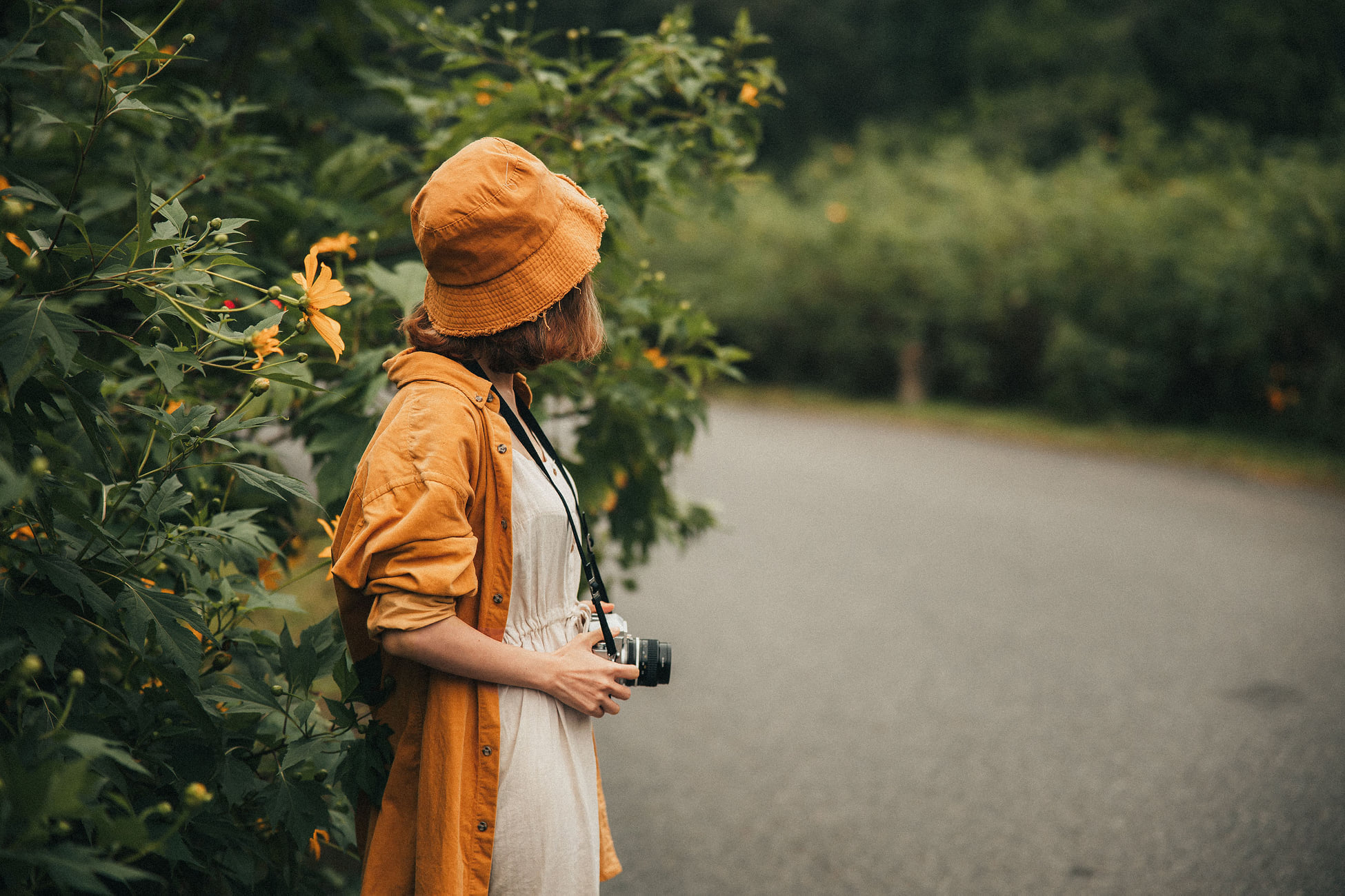 kinh nghiệm đi Ba Vì mùa hoa dã quỳ 4 kinh nghiệm đi Ba Vì mùa hoa dã quỳ 4