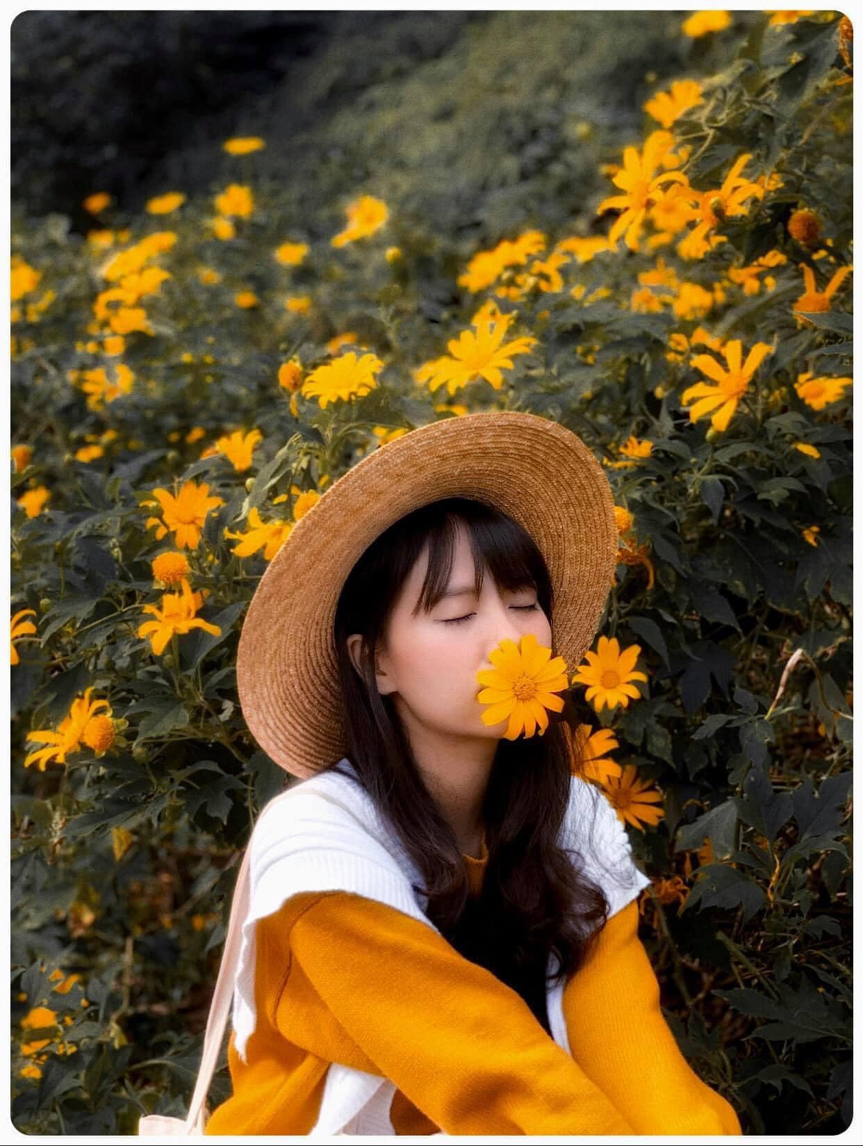 kinh nghiệm đi Ba Vì mùa hoa dã quỳ kinh nghiệm đi Ba Vì mùa hoa dã quỳ