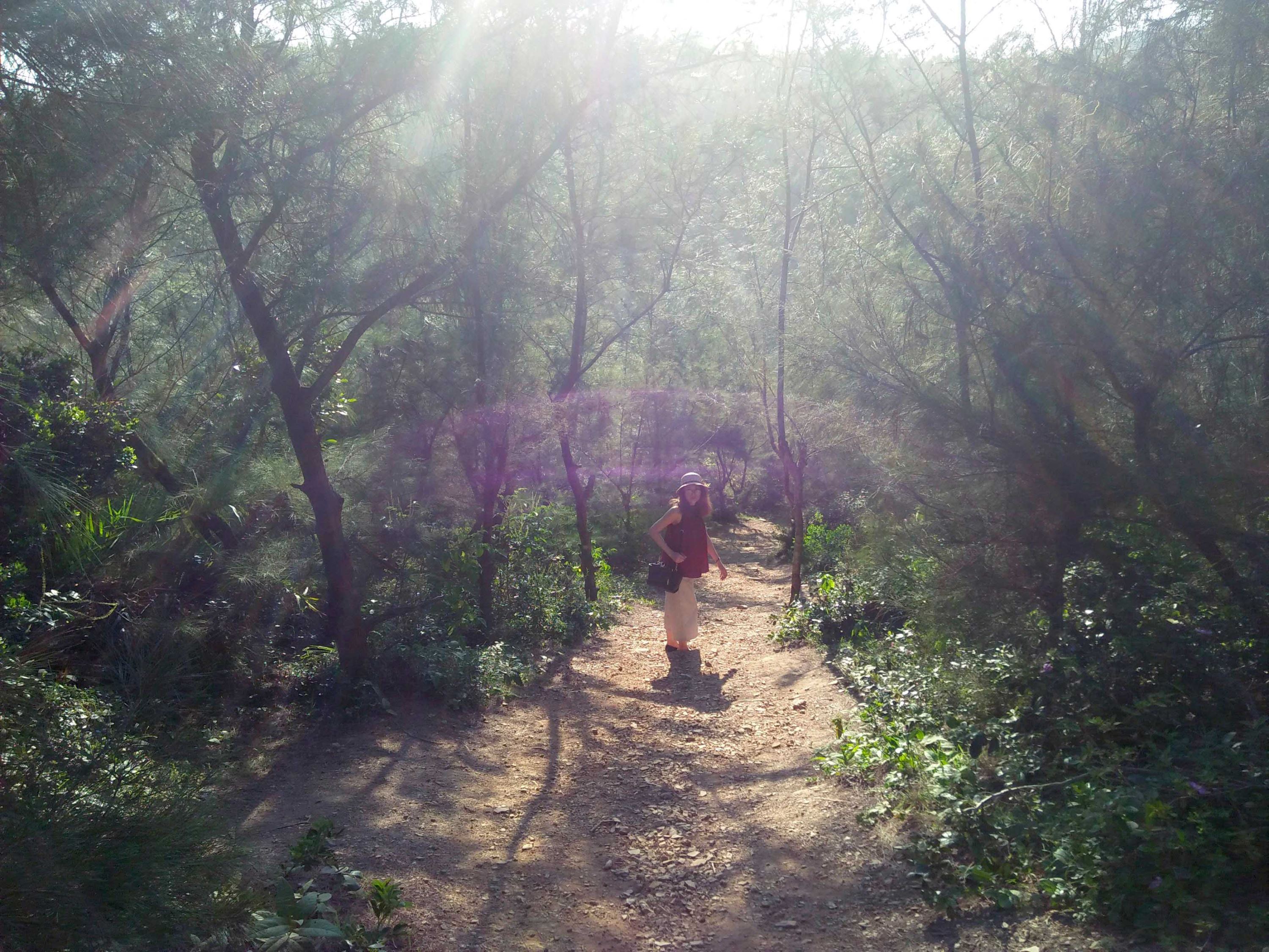 bãi móng rồng Cô Tô 1