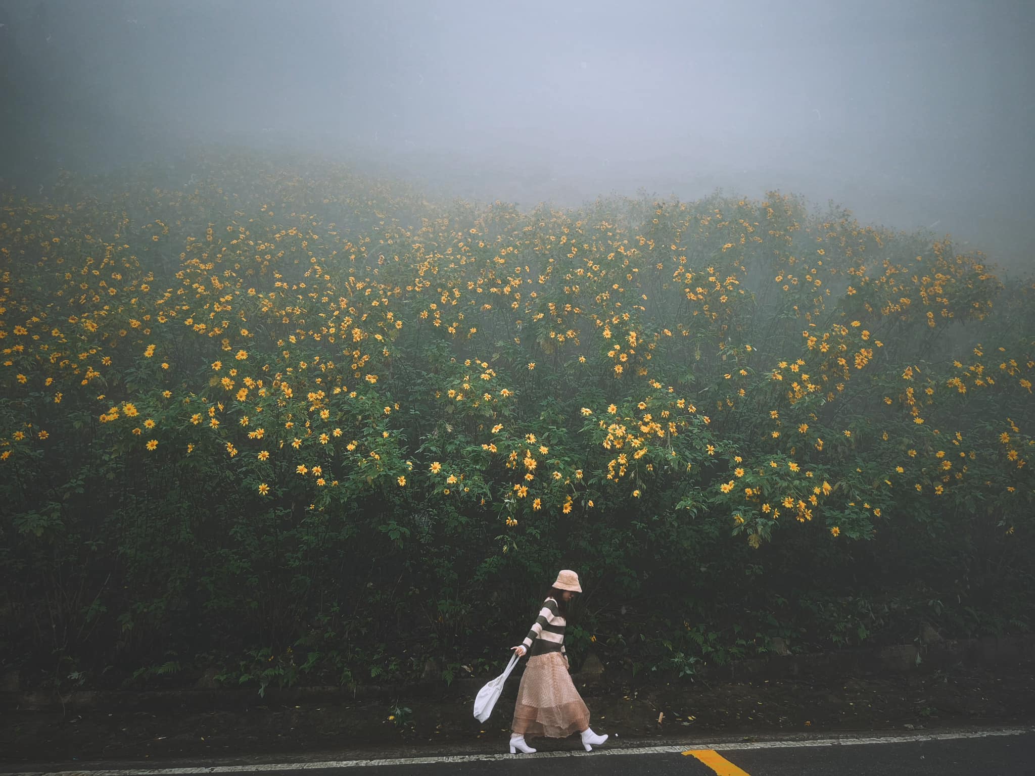 Vườn quốc gia Ba Vì Vườn quốc gia Ba Vì