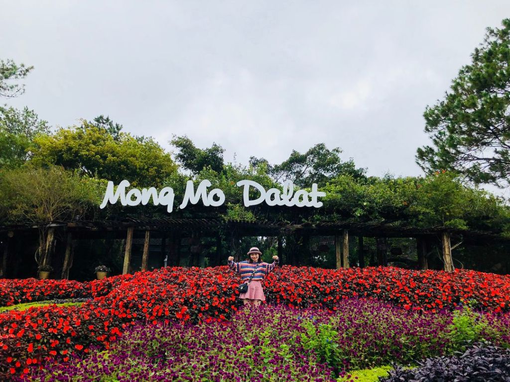 đồi mộng mơ Đà Lạt