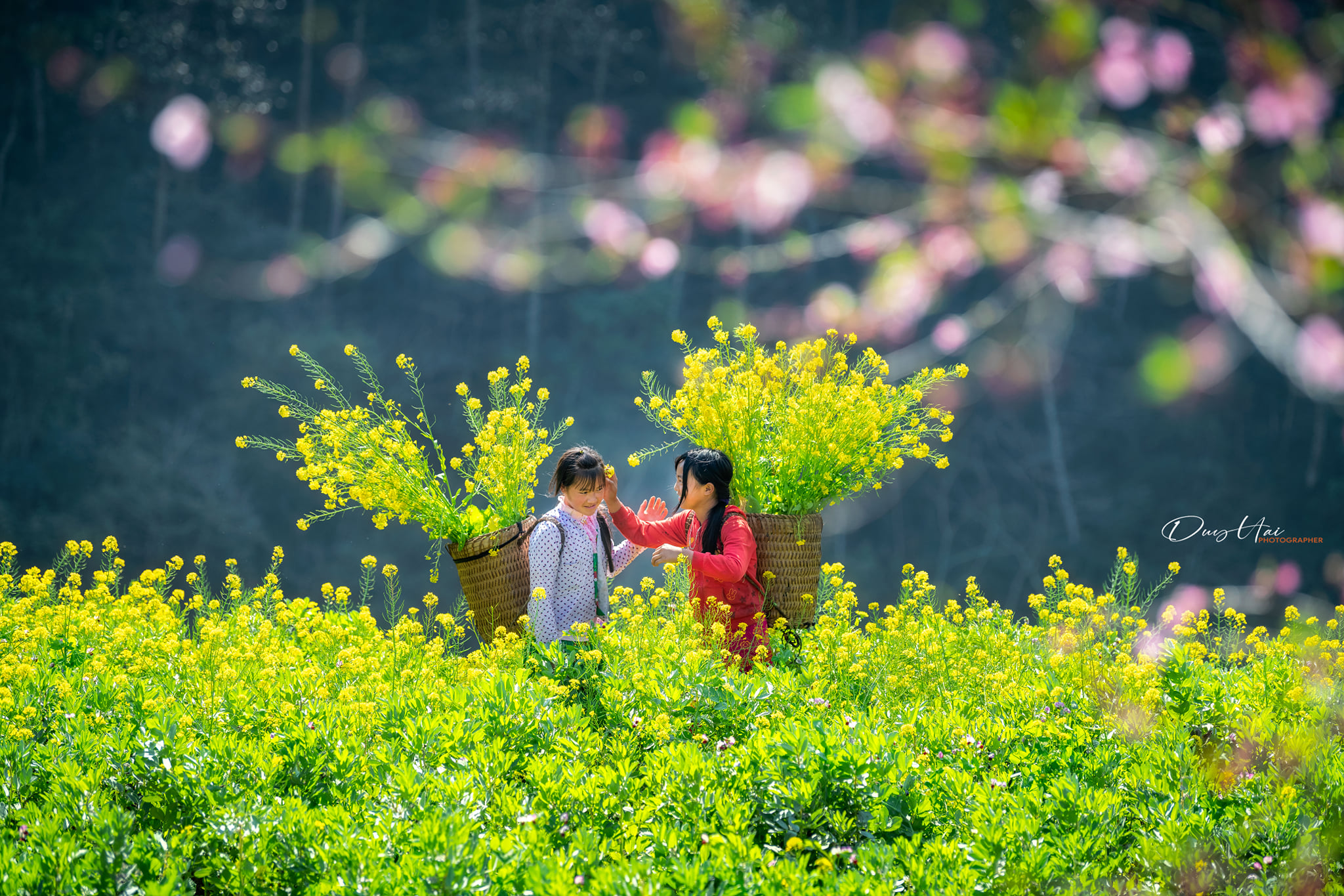 đi đâu sau dịch