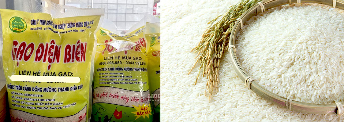 Gạo Điện Biên - Đặc sản Điện Biên mùa về làm quà Gạo Điện Biên - Đặc sản Điện Biên mùa về làm quà