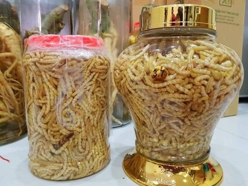 Rượu sâu chít - Đặc sản Điện Biên mua về làm quà Rượu sâu chít - Đặc sản Điện Biên mua về làm quà