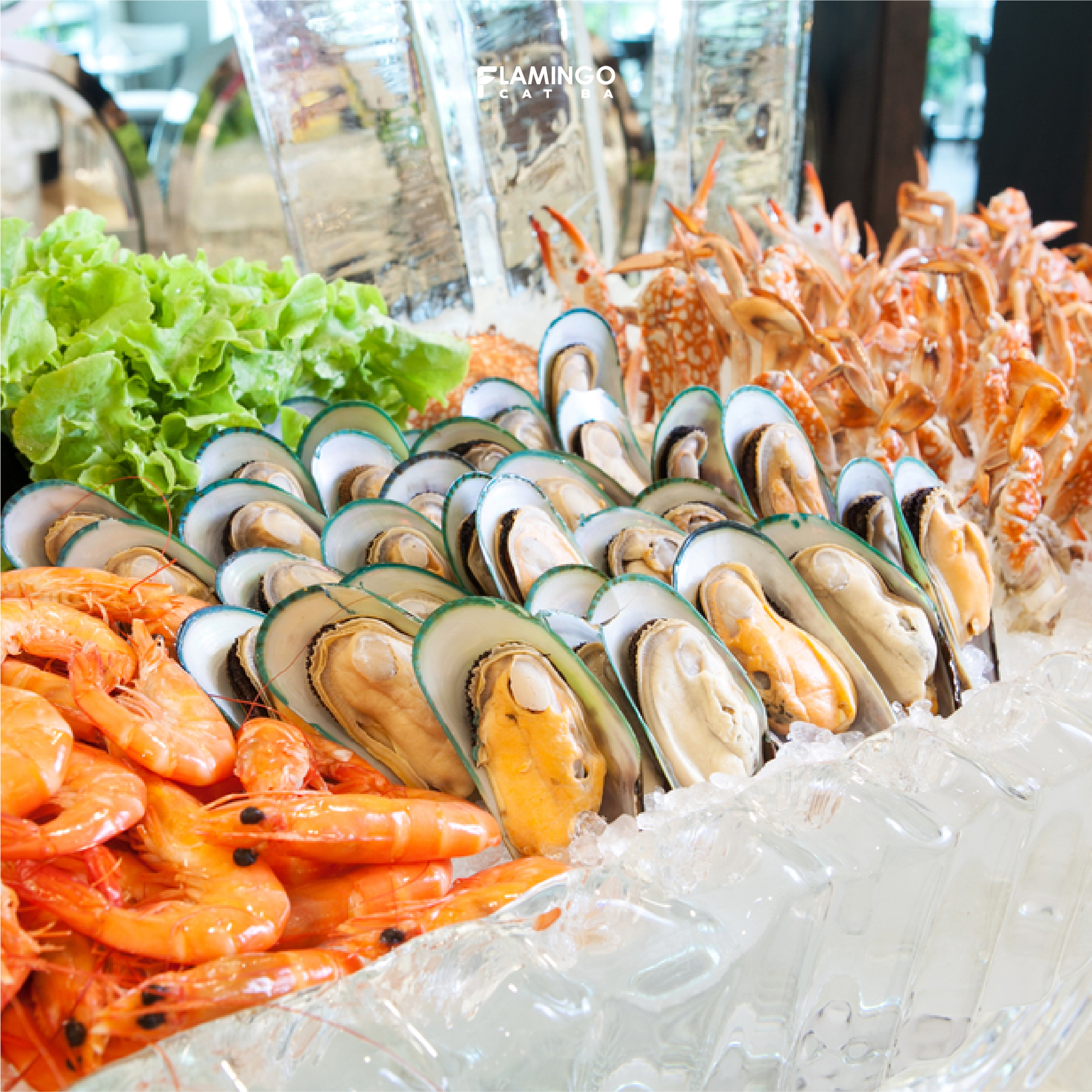 Ưu đãi Flamingo Cát Bà