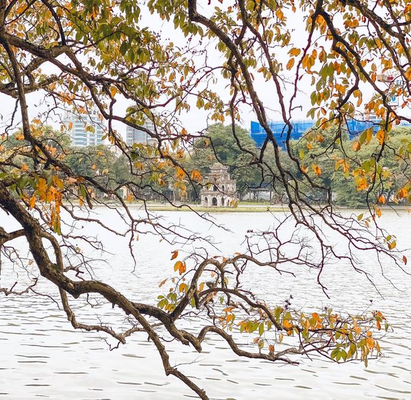 Hồ Gươm Hồ Gươm