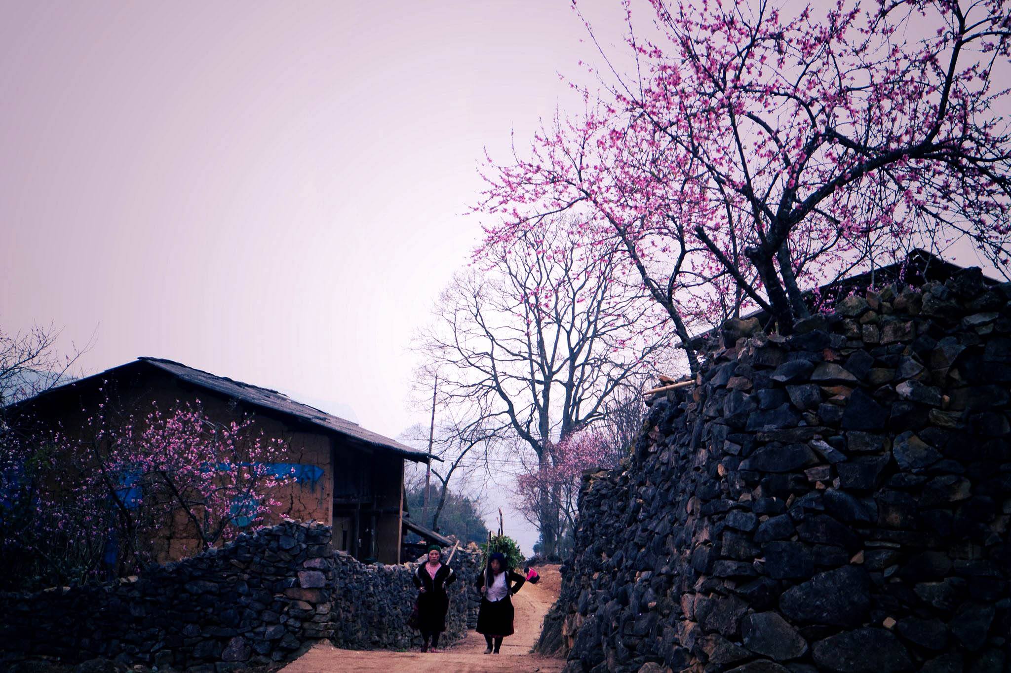 nhung-ban-lang-dep-va-yen-binh-o-ha-giang-du-khach-nhat-dinh-phai-den-it-nhat-mot-lan-trong-doi