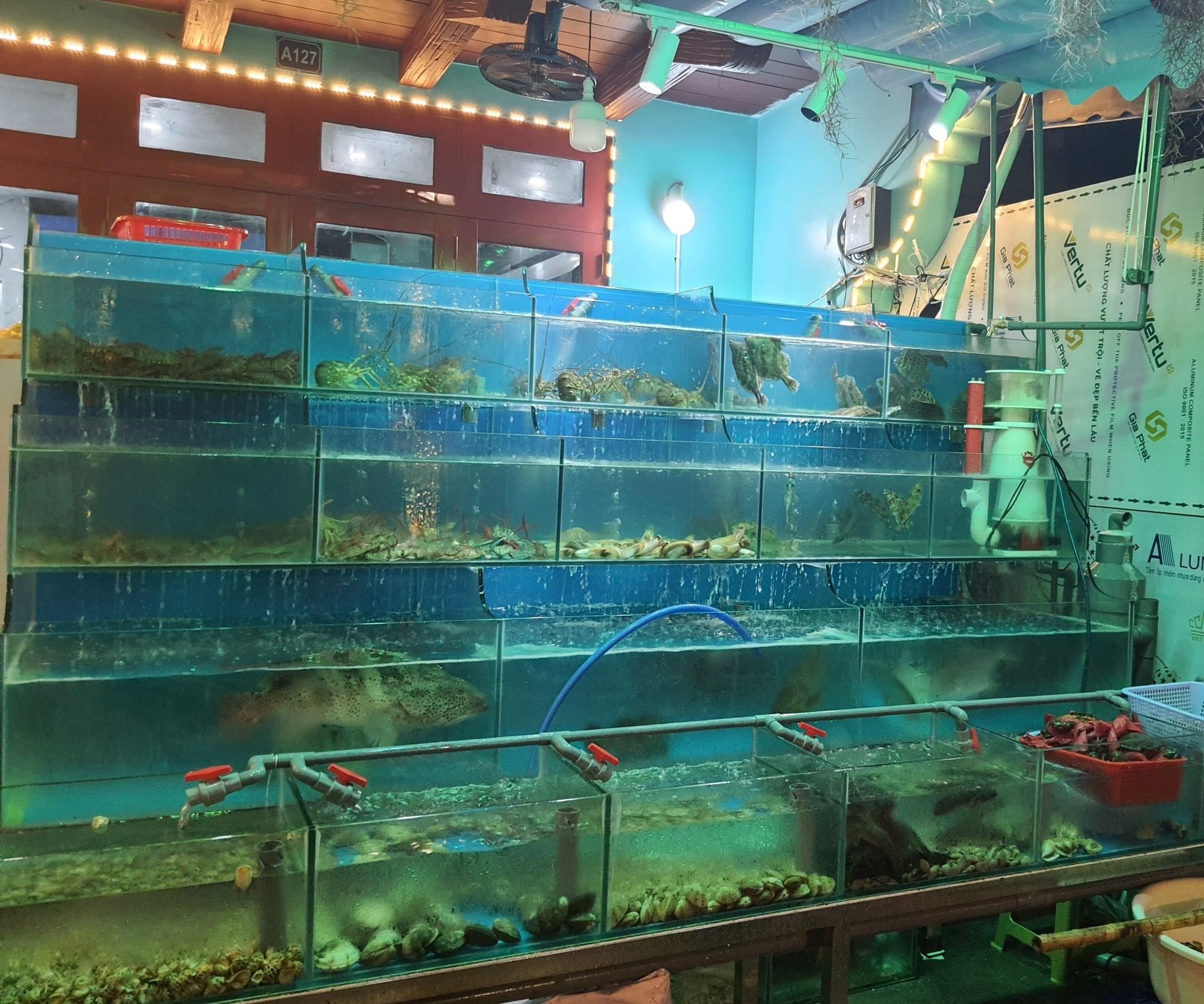 Hải sản tươi sống đại dương vàng hạ long 999