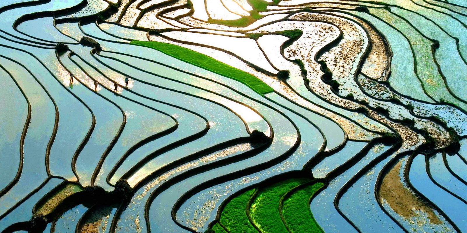 Mùa nước đổ Y Tý 