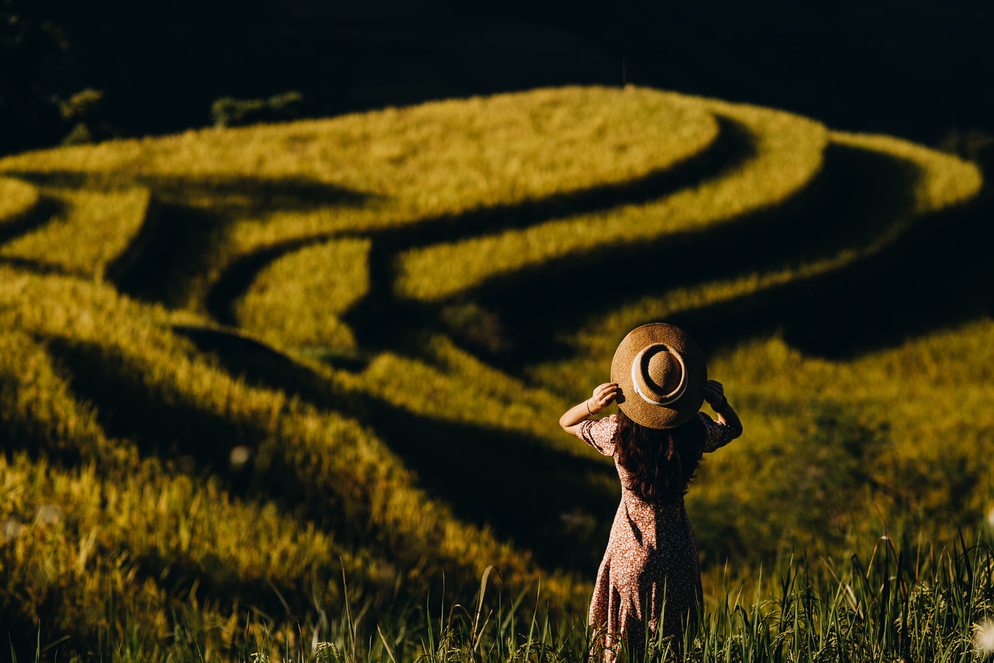 Ngắm lúa chín ruộng bậc thang Tây Bắc 01