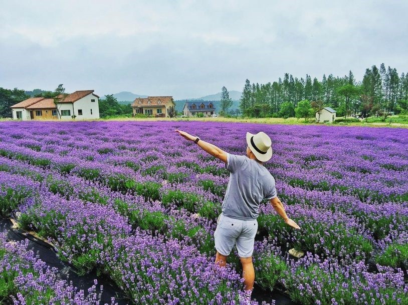 Địa điểm check-in với Lavender đẹp ở Đà Lạt