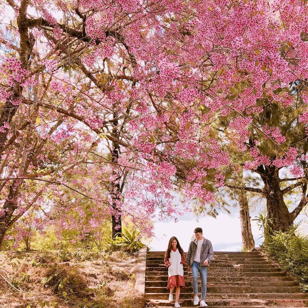 điểm du lịch Tết 2024 5