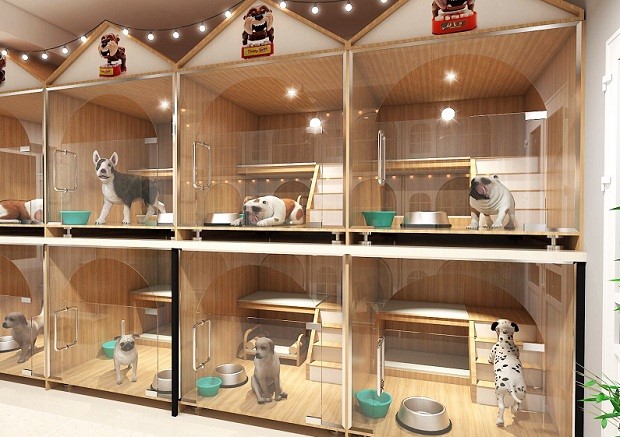 khách sạn chó mèo khách sạn chó mèo