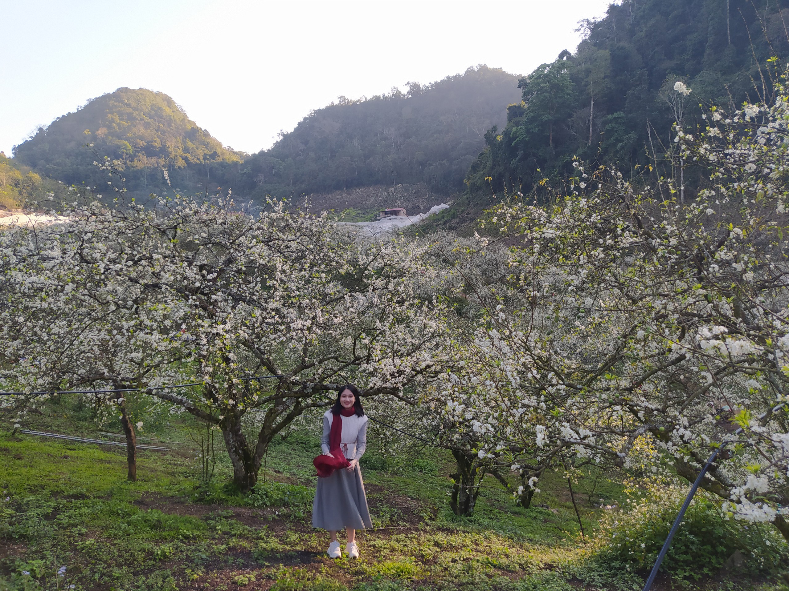Tour Mai Châu - Mộc Châu