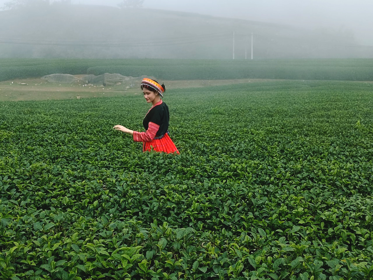 Tour Mai Châu - Mộc Châu 01