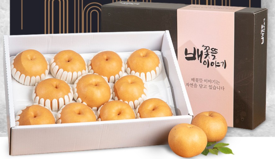 Lê Hàn Quốc 01 Lê Hàn Quốc 01