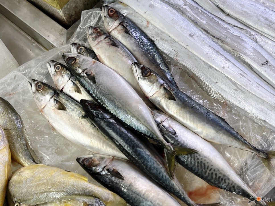 Cá thu - Đặc sản mùa thu Hàn Quốc Cá thu - Đặc sản mùa thu Hàn Quốc