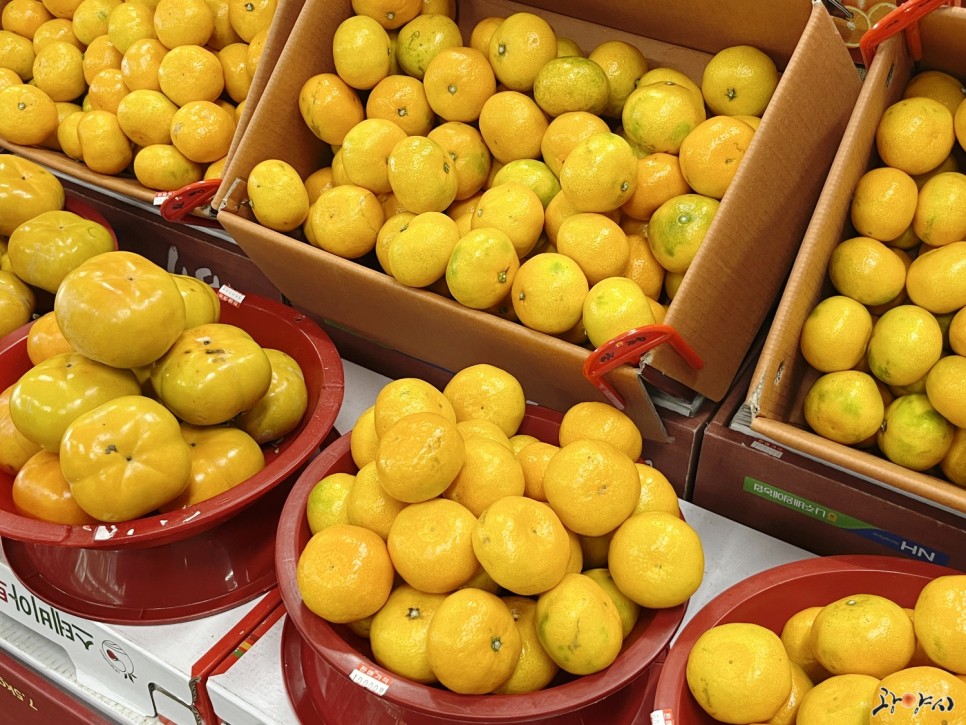 Quýt - Thức quả thơm ngon mùa thu Hàn Quốc Quýt - Thức quả thơm ngon mùa thu Hàn Quốc