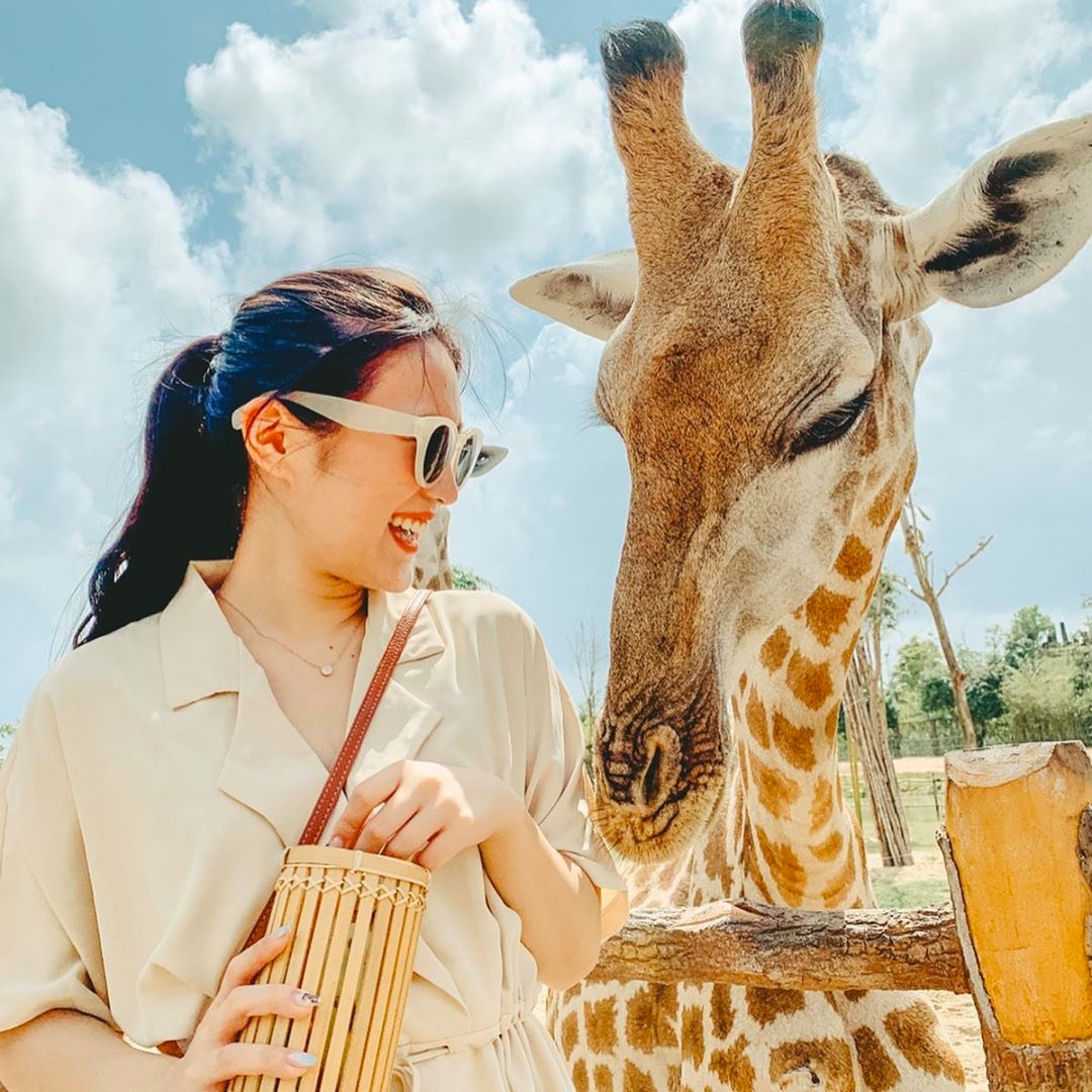 Check-in tại River Safari Nam Hội An Check-in tại River Safari Nam Hội An