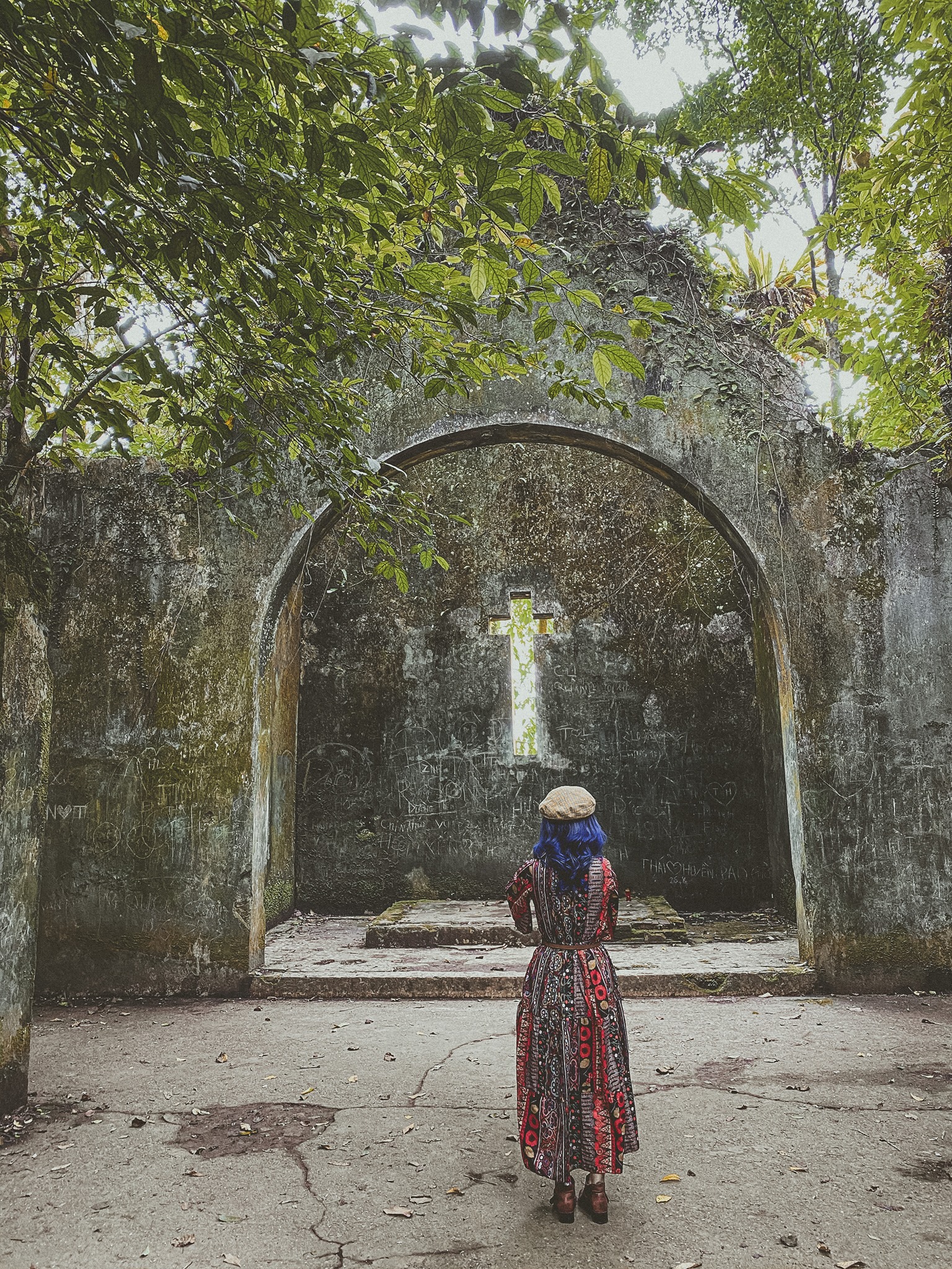 kinh nghiệm du lịch Ba Vì mùa dã quỳ 11 kinh nghiệm du lịch Ba Vì mùa dã quỳ 11