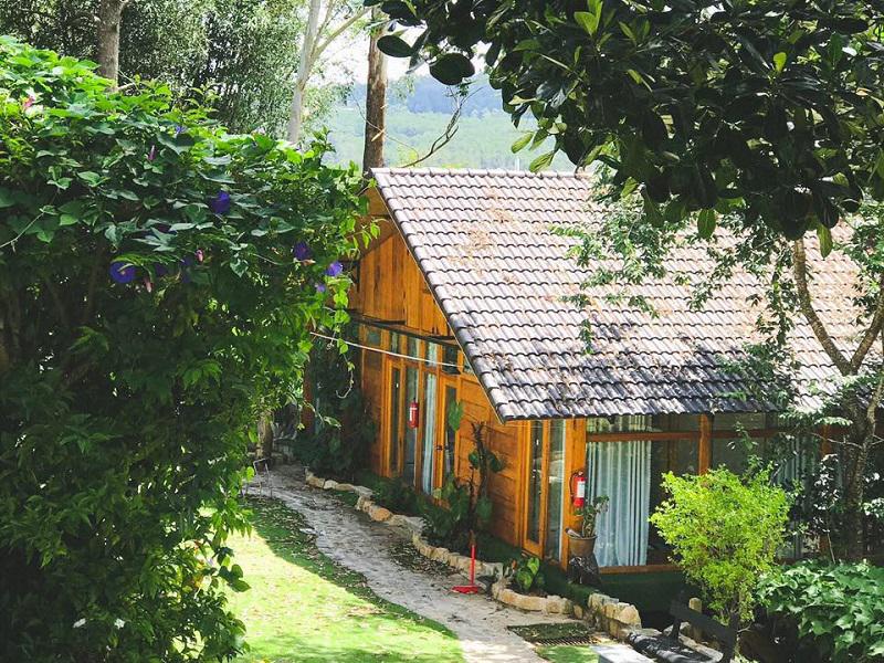 top-10-homestay-view-dep-nhat-da-lat-cho-team-me-song-ao