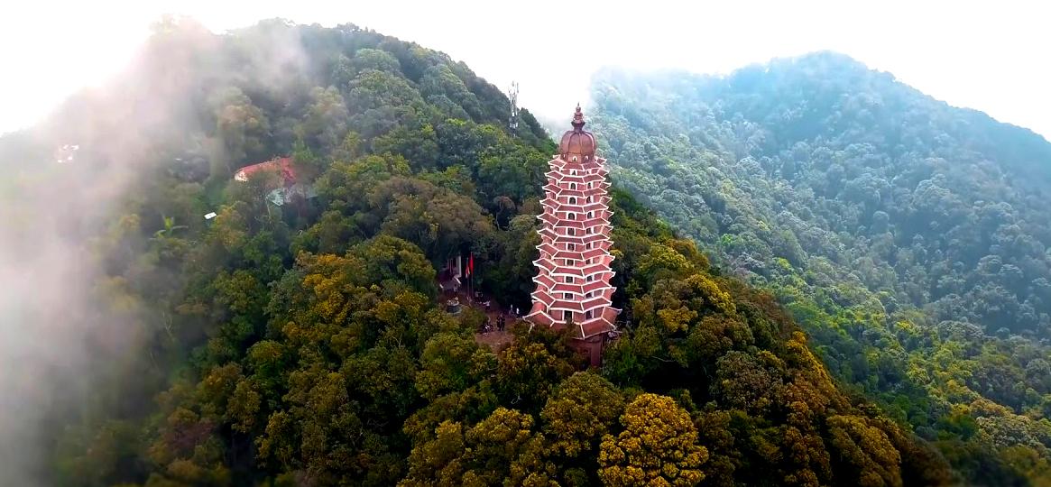 kinh nghiệm du lịch Ba Vì mùa hoa dã quỳ 13