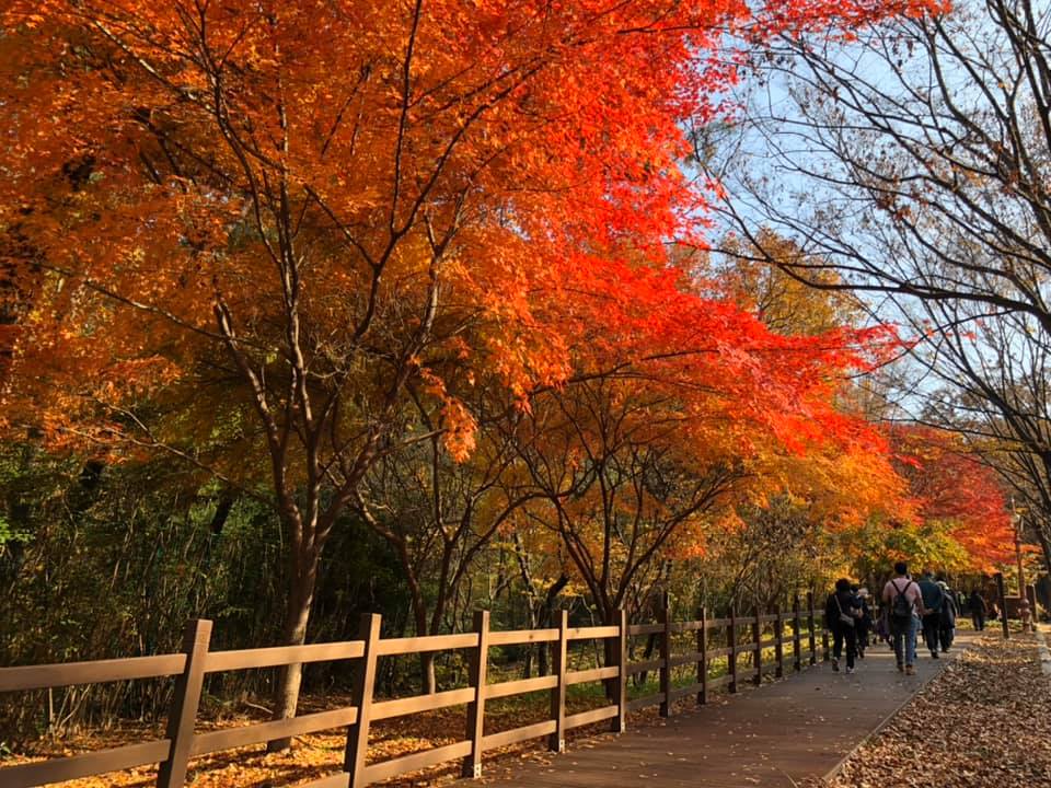 cac-tour-du-lich-nuoc-ngoai-dang-chay-2022