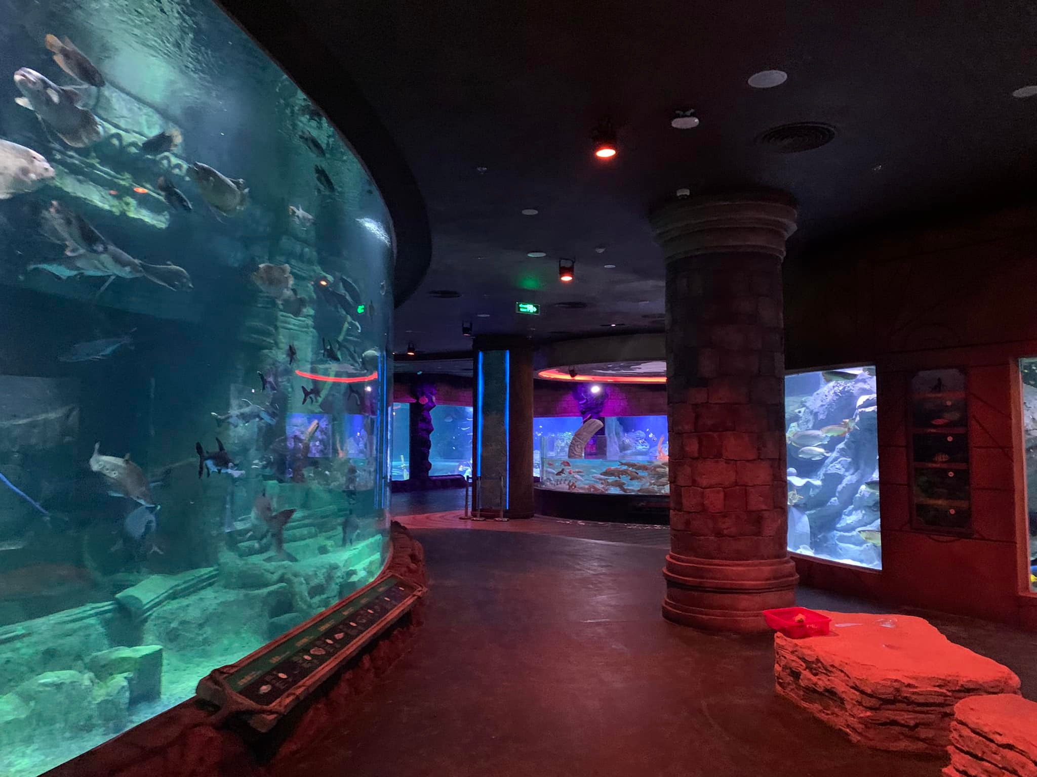 Cung điện Hải Vương - Thuỷ cung mới của Vinwonders Phú Quốc 05