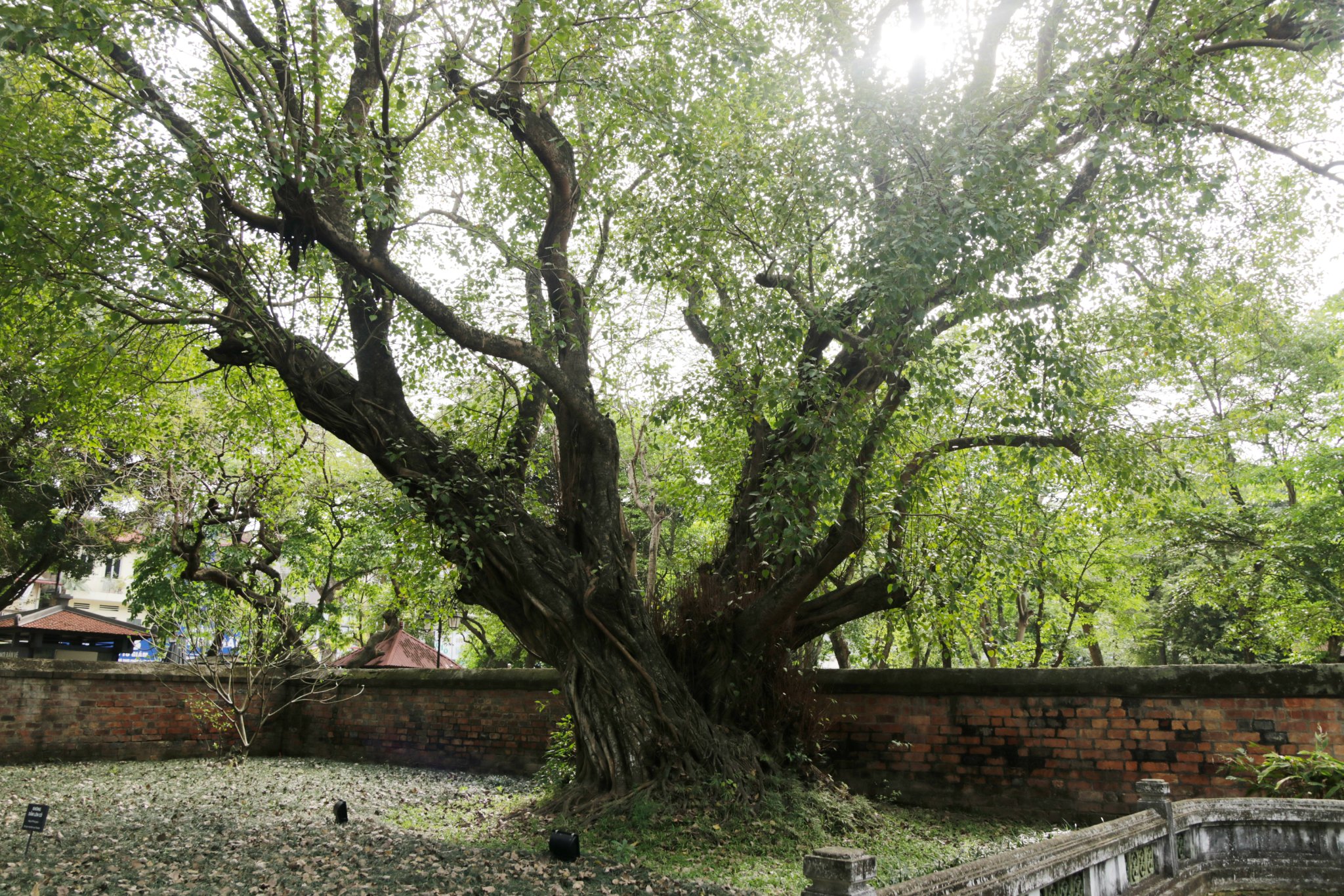 Văn Miếu Quốc Tử Giám 03 Văn Miếu Quốc Tử Giám 03