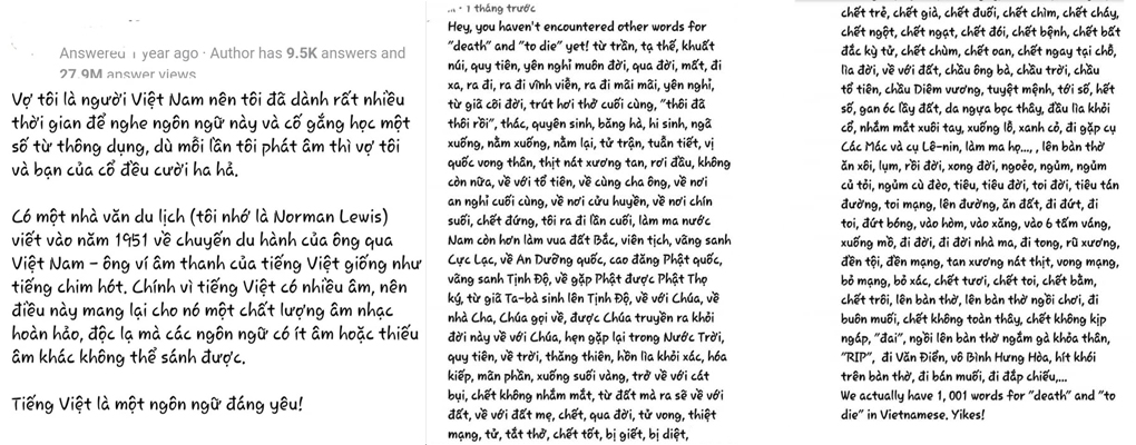 vẻ đẹp Việt Nam trong mắt khách du lịch nước ngoài 10