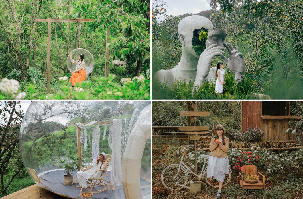 Tiệm Cafe Vườn Hồng Nhà Tom 01