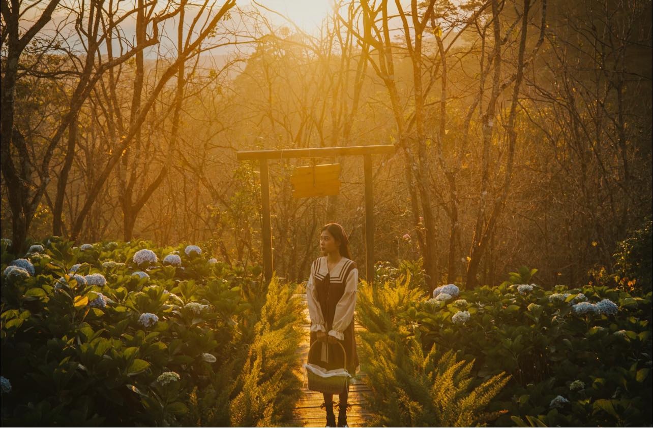 Vườn hồng nhà Tôm