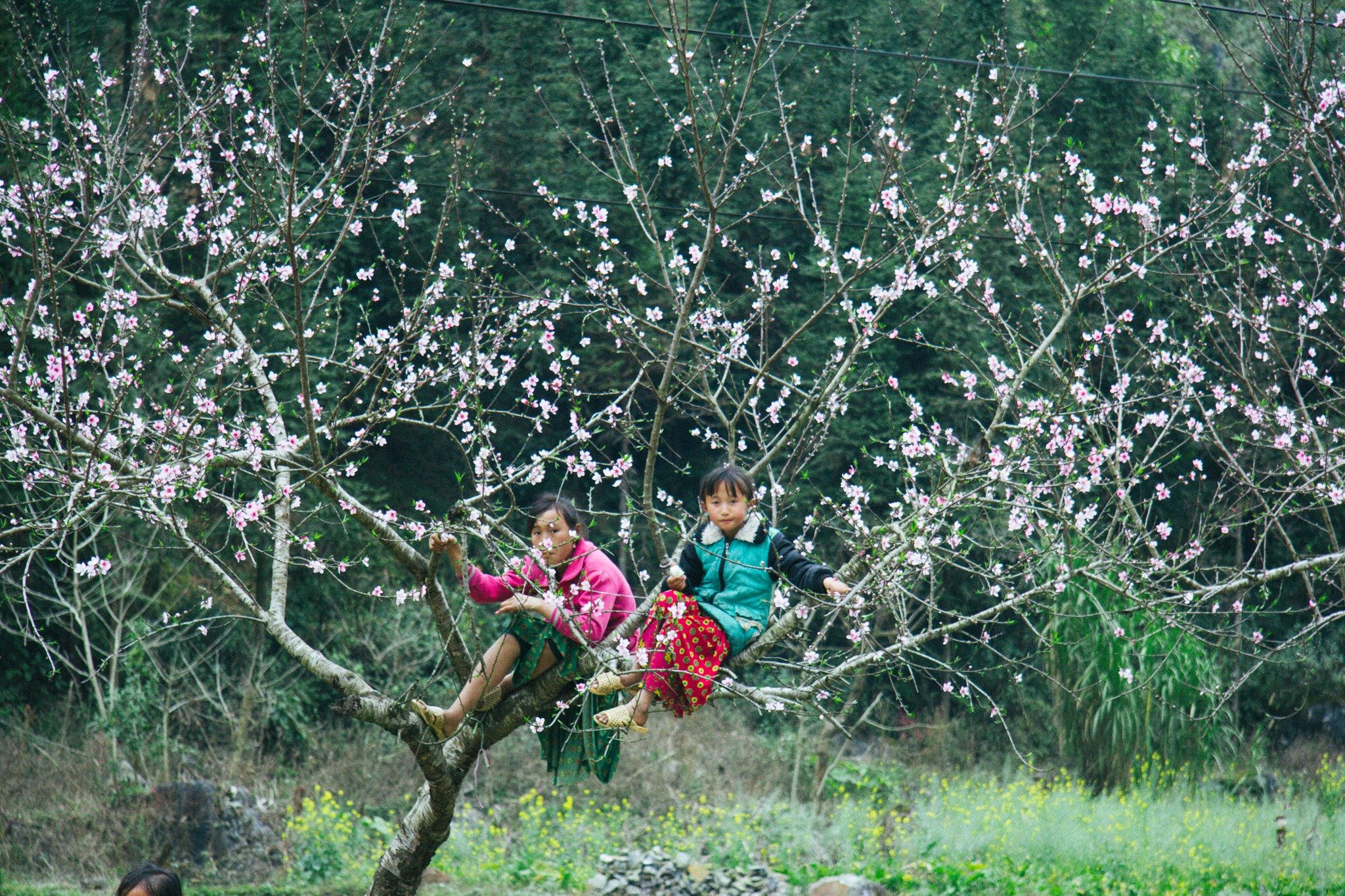 Tour Hà Giang - Lũng Cú - sông Nho Quế 3N2Đ 01