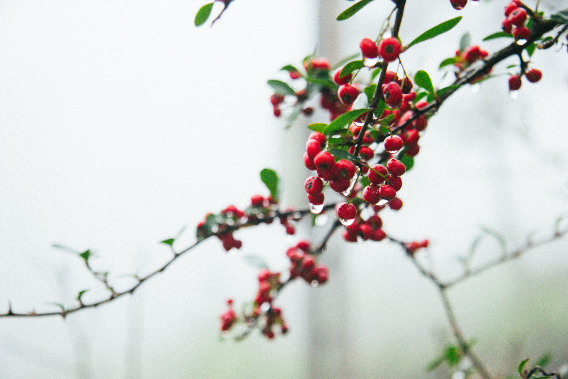 Tour Hà Giang - Lũng Cú - sông Nho Quế 3N2Đ 02