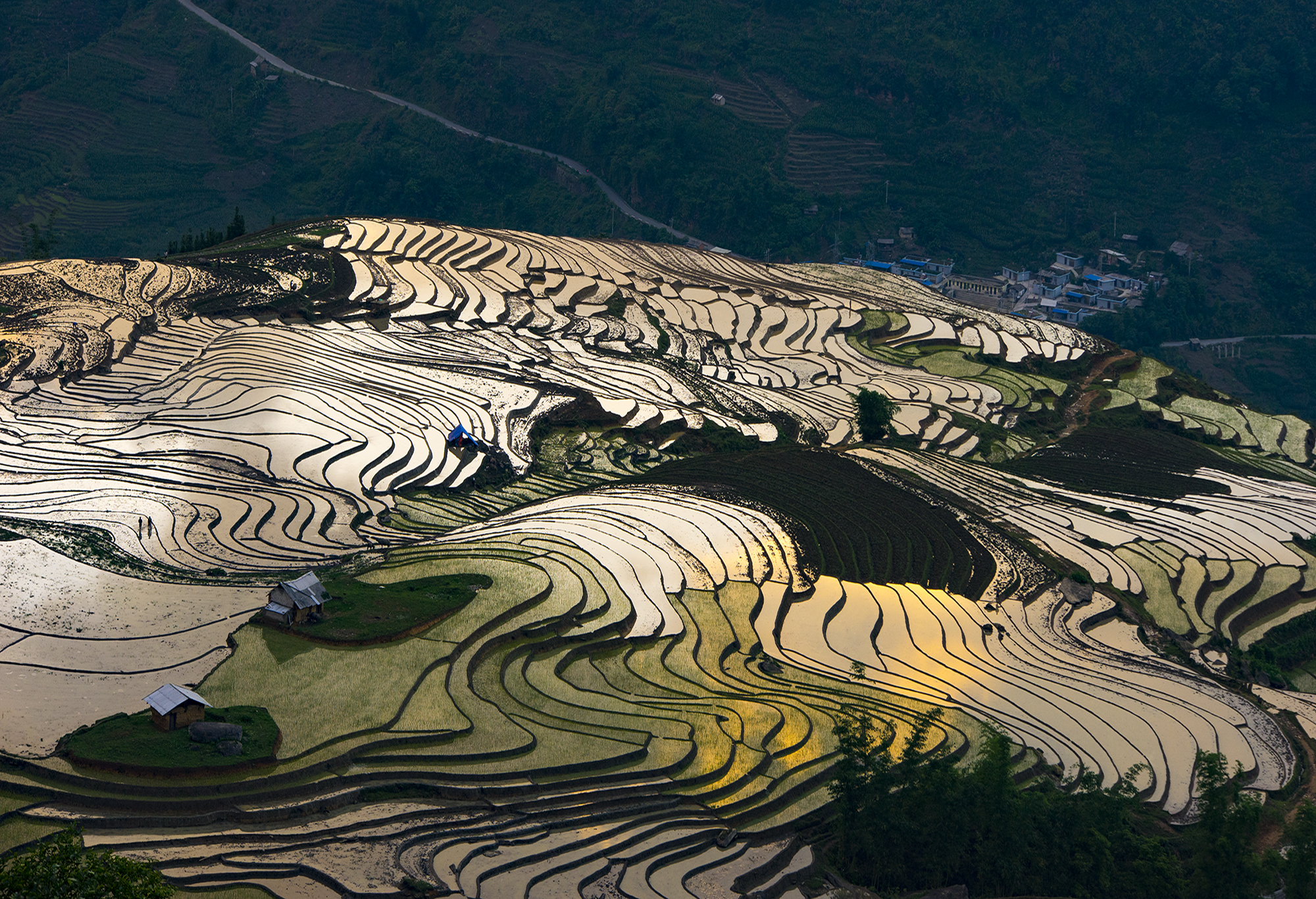 Ý tý mùa nước đổ